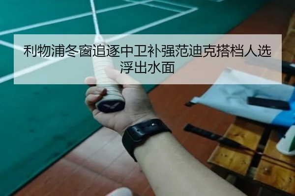 利物浦冬窗追逐中卫补强范迪克搭档人选浮出水面